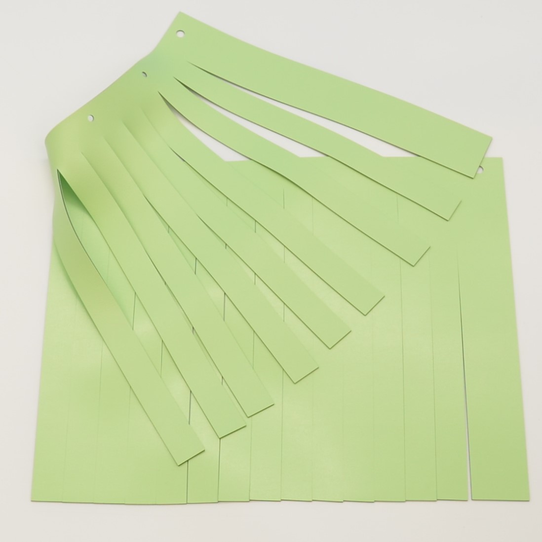 SHIELD CURTAIN SHIELD CURTAIN